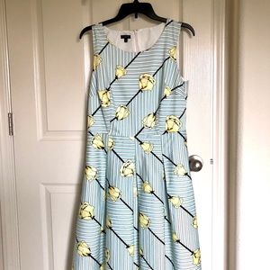 Talbots fit and flare style dress size 10